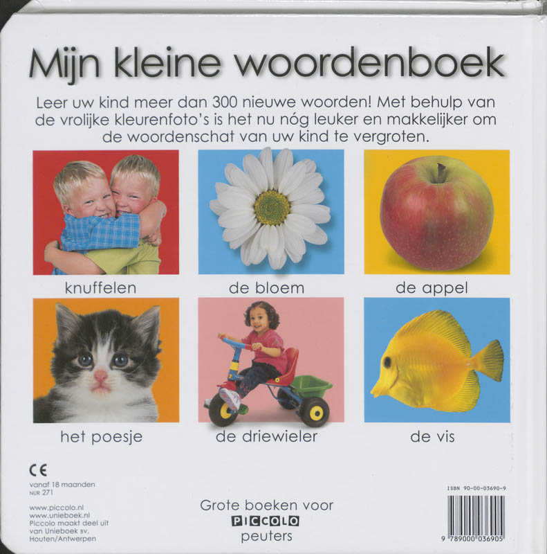 Achterkant van Mijn kleine woordenboek