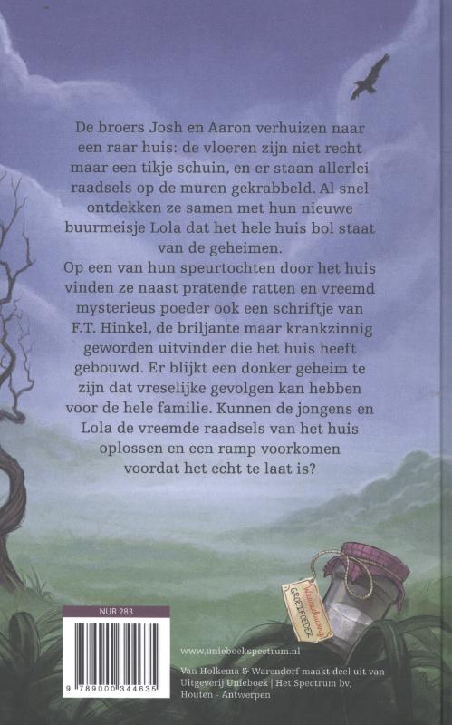 Achterkant van Het huis met de schuine vloeren, pratende ratten en raadsels op de muren