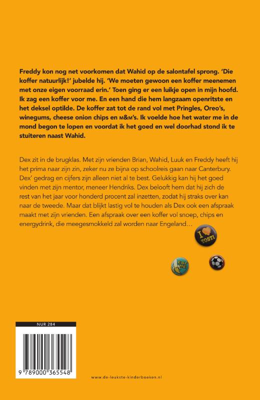 Achterkant van Dex over vrienden en andere bagage