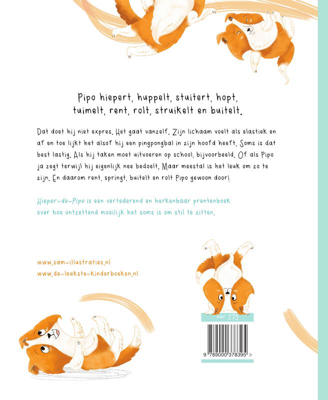 Achterkant van Hieper-de-Pipo