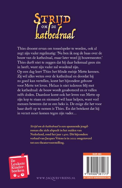 Achterkant van Strijd om de kathedraal