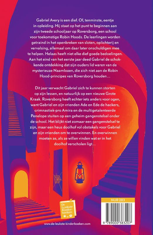 Achterkant van Dief in het doolhof