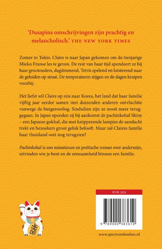 Achterkant van Pachinkohal