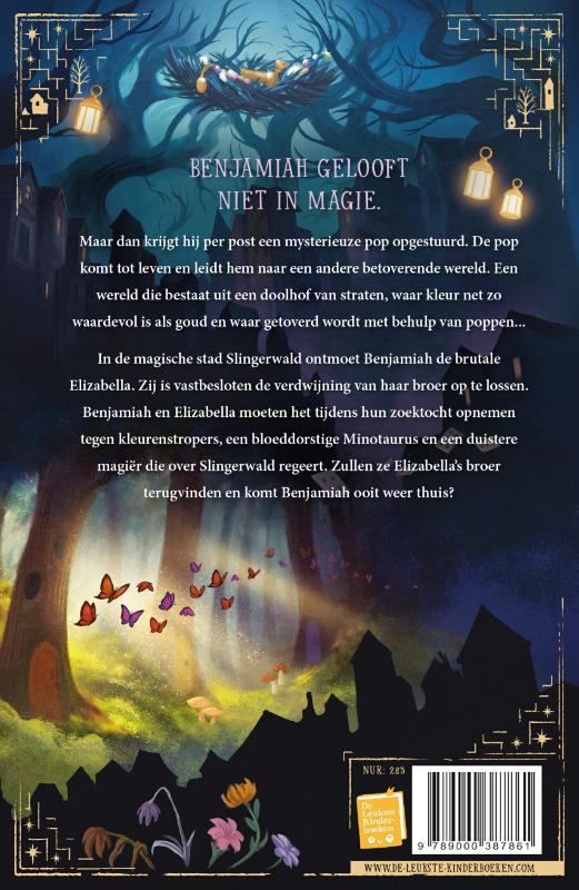 Achterkant van Het geheim van de doolhofstad