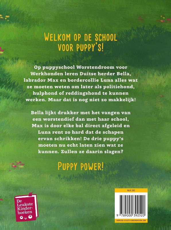 Achterkant van School voor puppy's