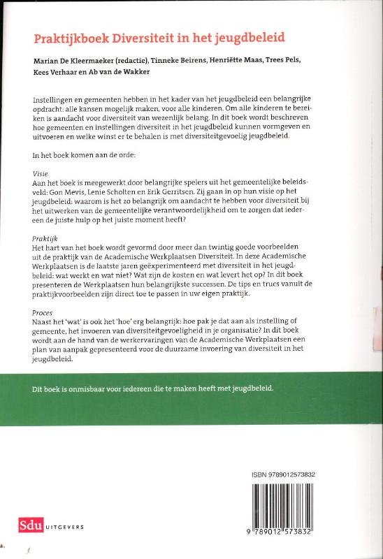 Achterkant van Praktijkboek diversiteit in het jeugdbeleid