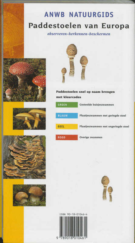 Achterkant van Paddestoelen
