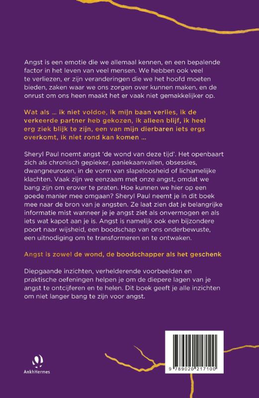 Achterkant van De verborgen wijsheid van spanning, stress, zorgen en onzekerheid.