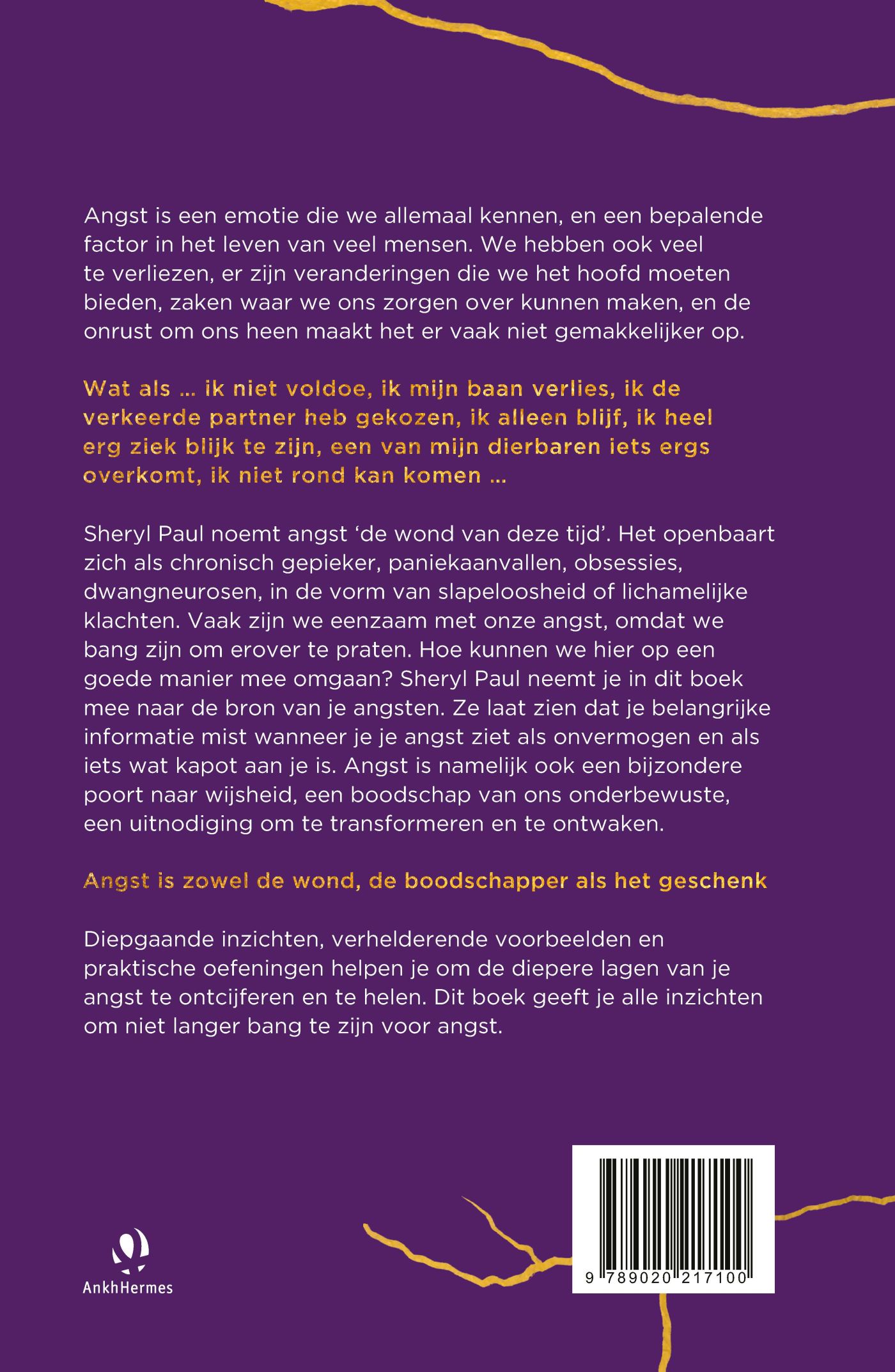 Achterkant van De verborgen wijsheid van spanning, stress, zorgen en onzekerheid.
