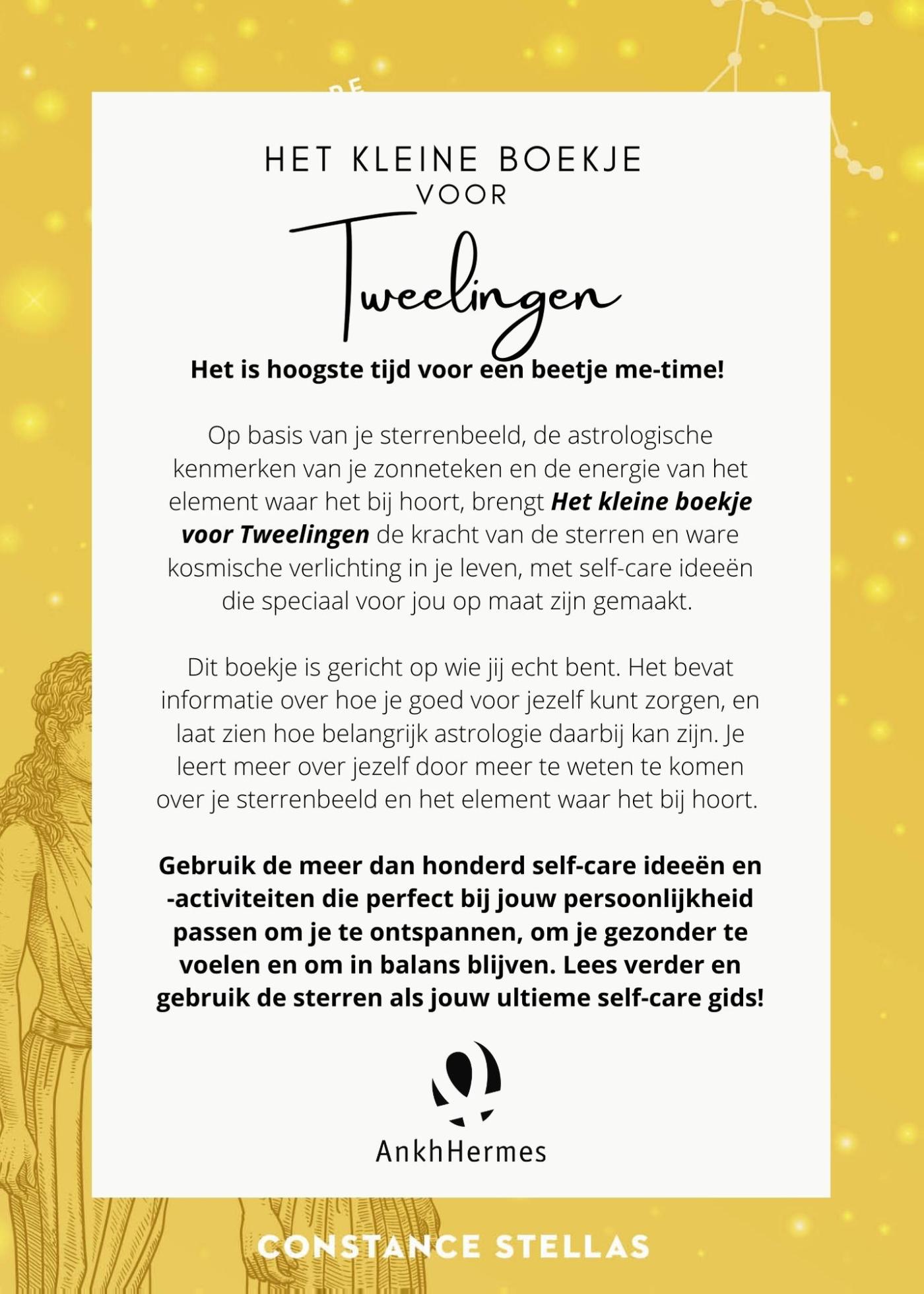 Achterkant van Het kleine boekje voor Tweelingen