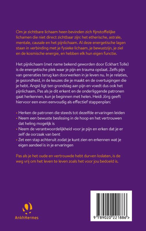 Achterkant van Het pijnlichaam