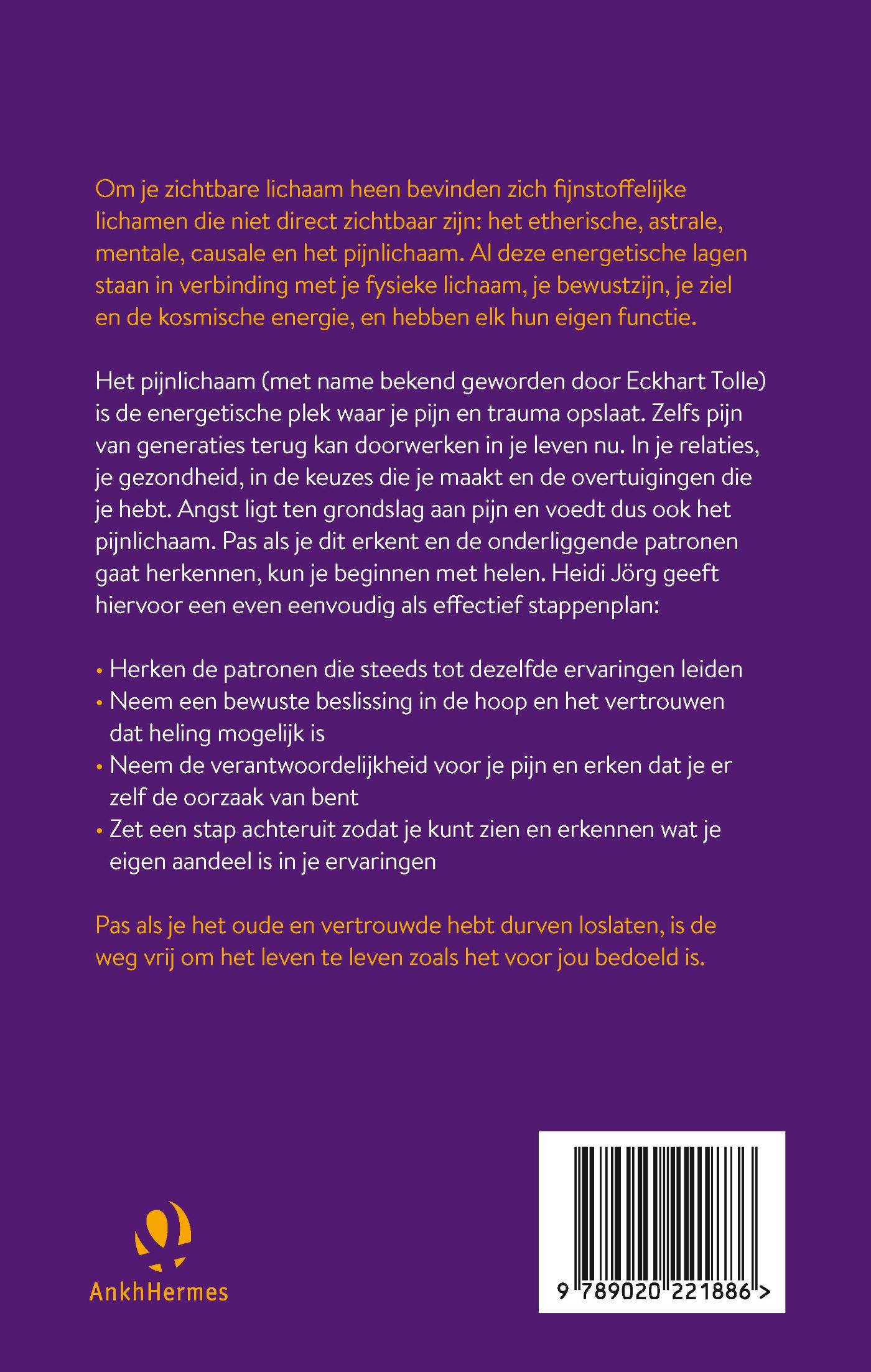 Achterkant van Het pijnlichaam