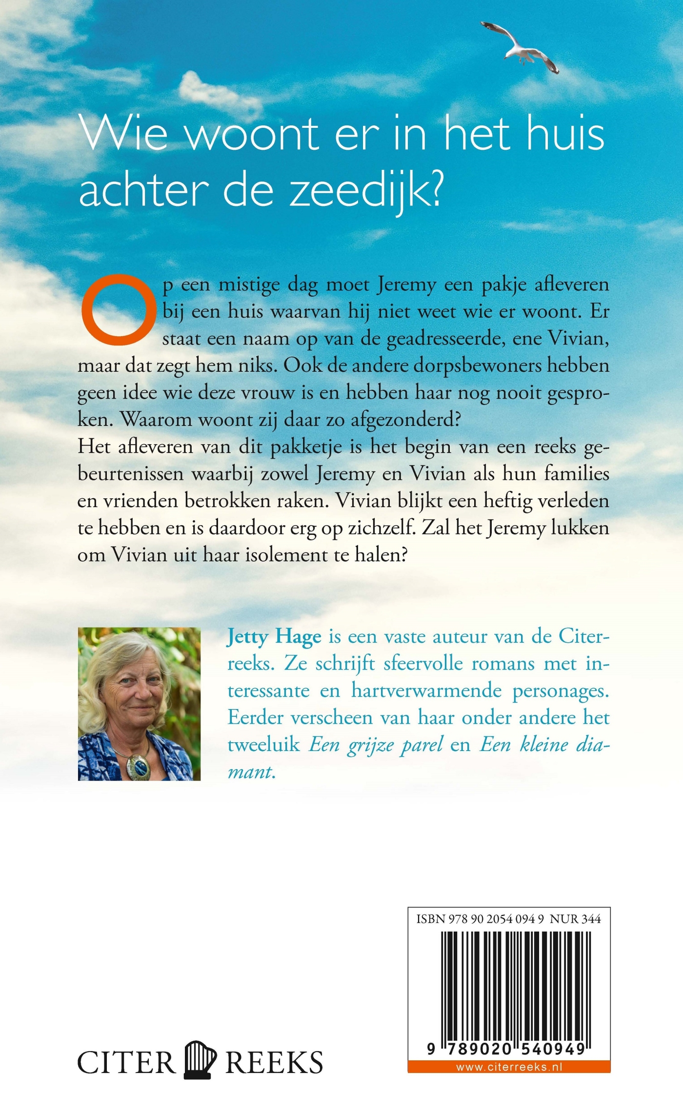 Achterkant van Het huis achter de zeedijk