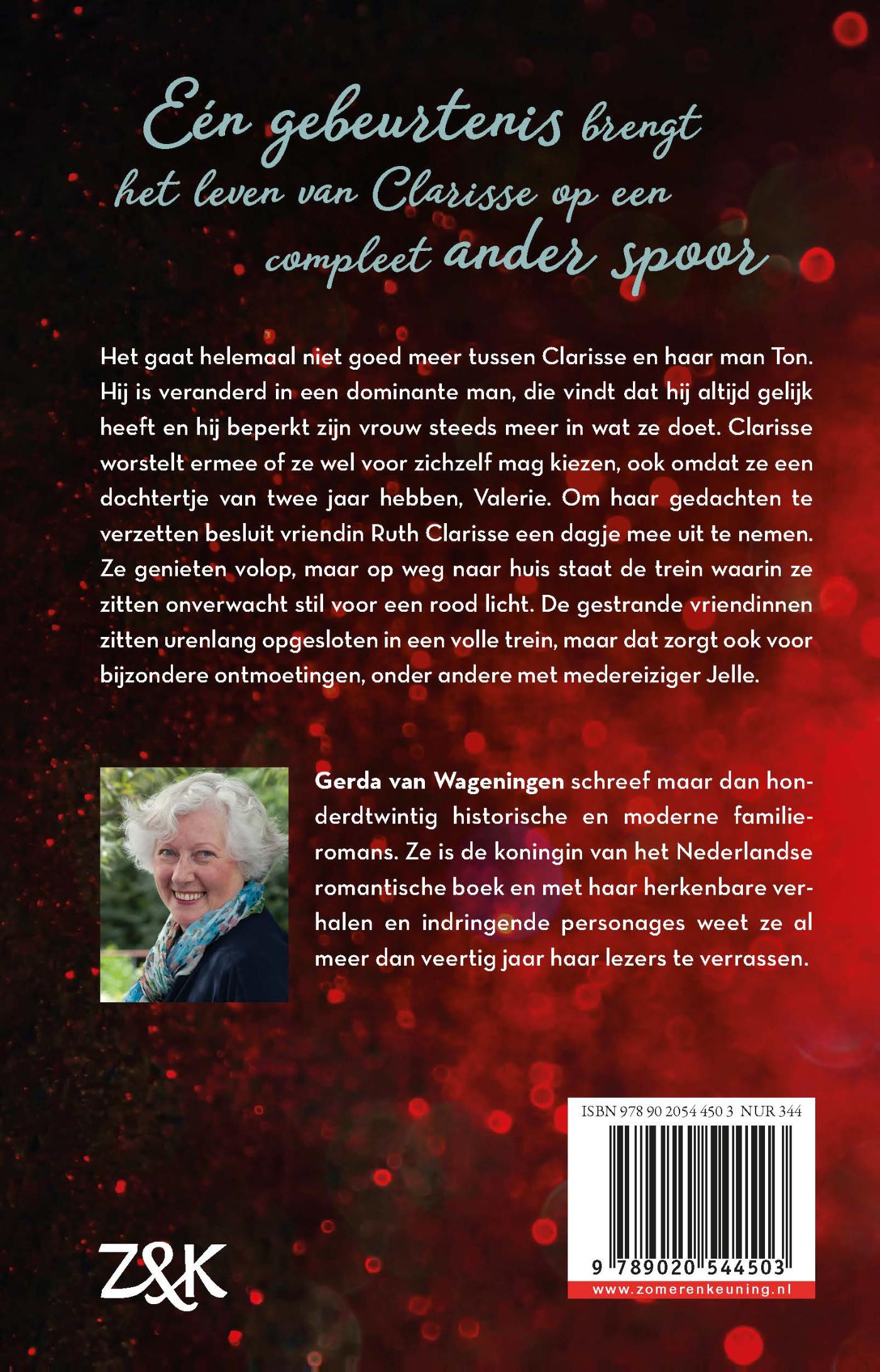 Achterkant van Rood licht