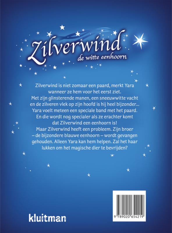 Achterkant van De spiegel van de tovenaar
