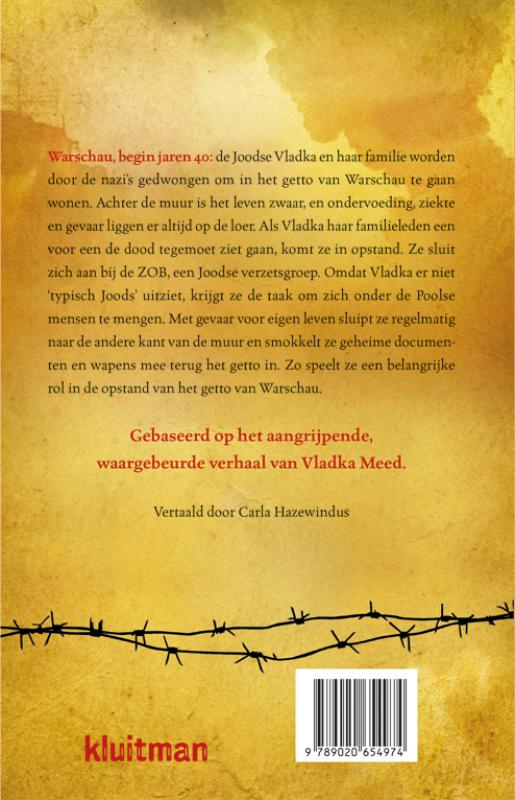 Achterkant van Het meisje aan de andere kant van de muur