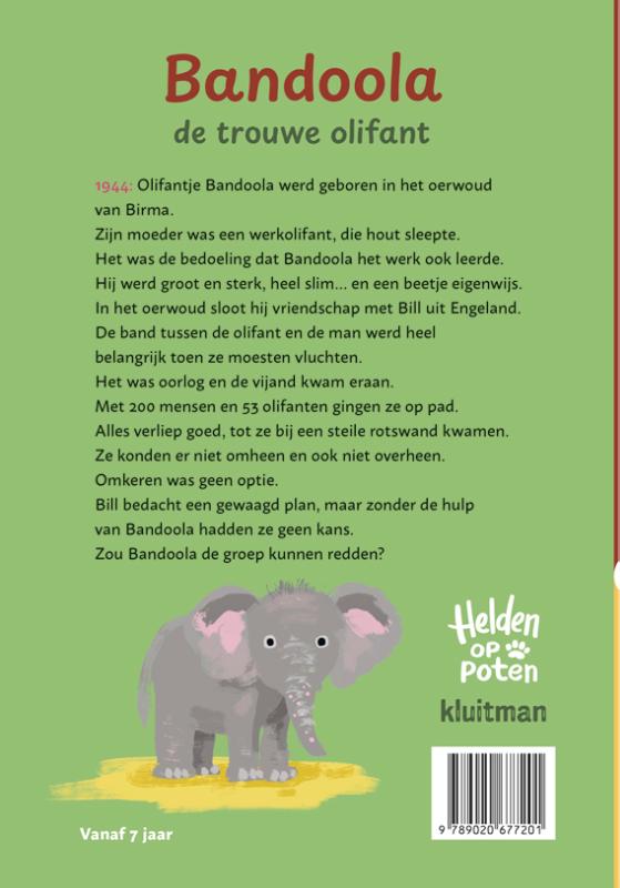 Achterkant van Bandoola, de trouwe olifant