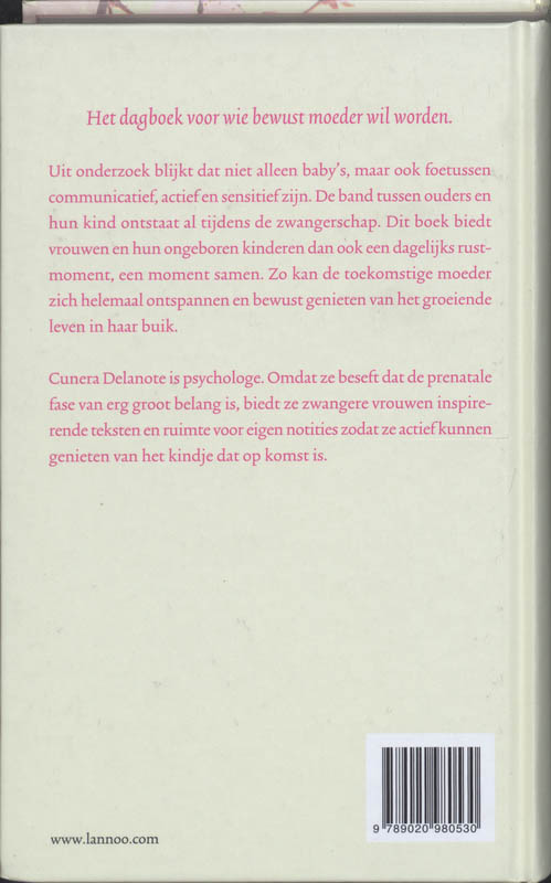 Achterkant van Zwangerschaps - dagboek