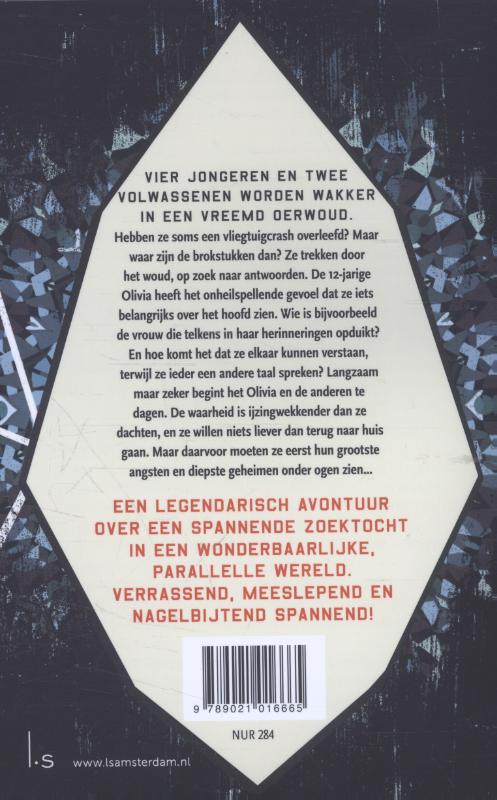 Achterkant van De kristallen sleutel