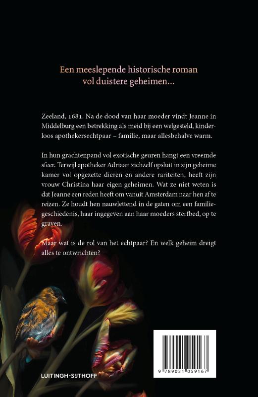 Achterkant van De wonderkamer