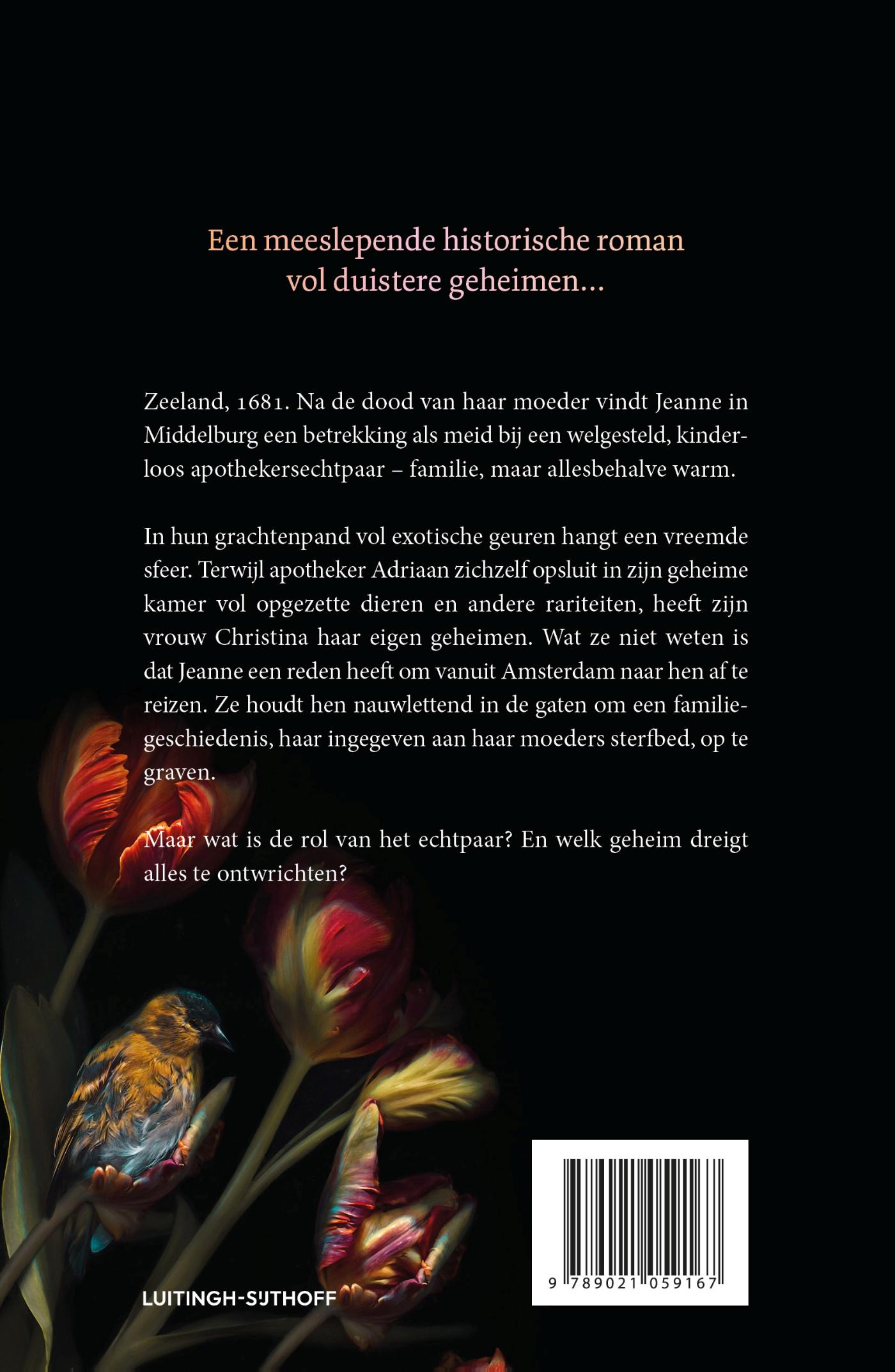 Achterkant van De wonderkamer