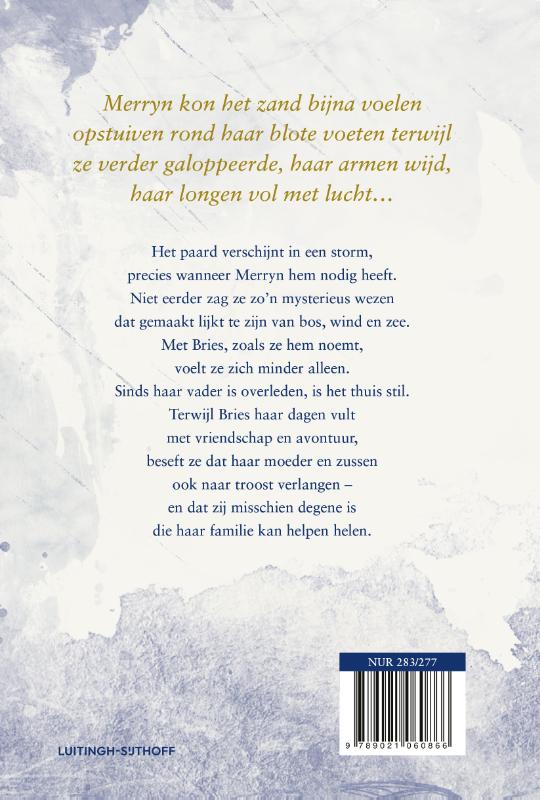 Achterkant van Stormpaard