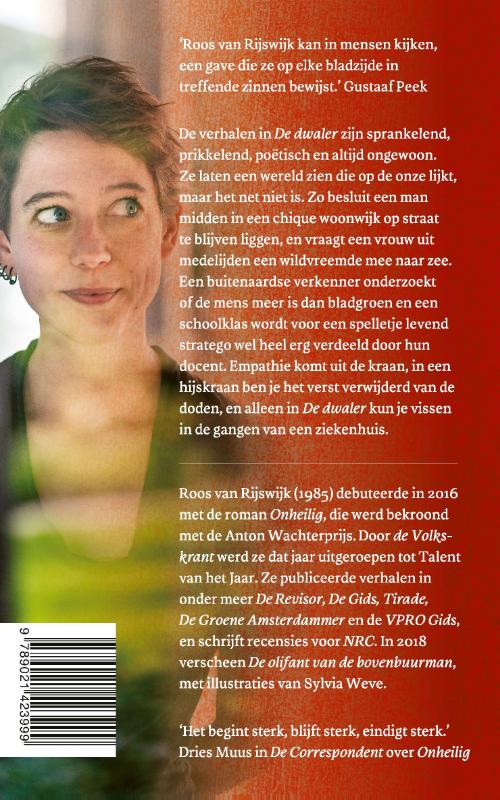 Achterkant van De dwaler