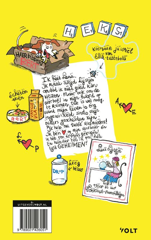 Achterkant van Het geheim van Lena Lijstje