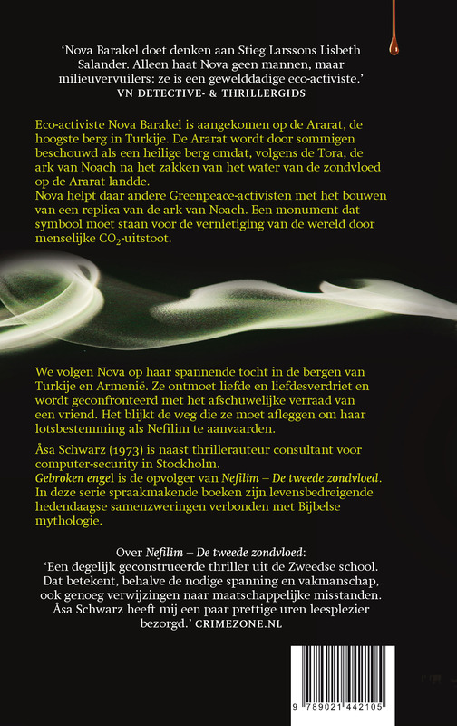 Achterkant van Gebroken engel