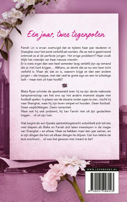 Achterkant van If we ever meet again