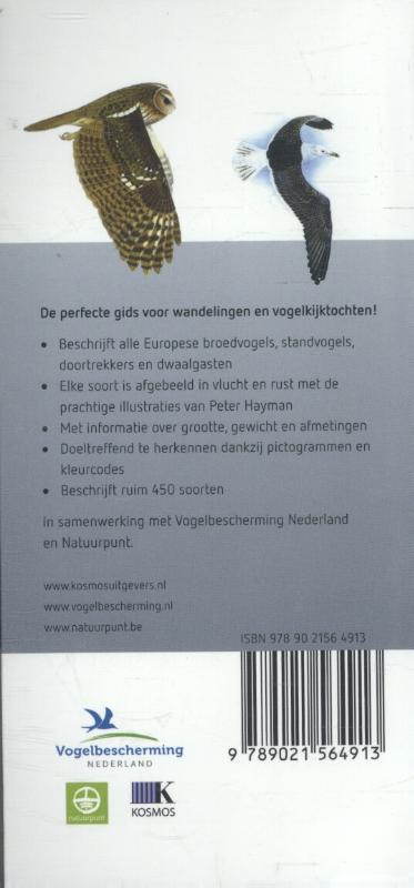 Achterkant van Vogels