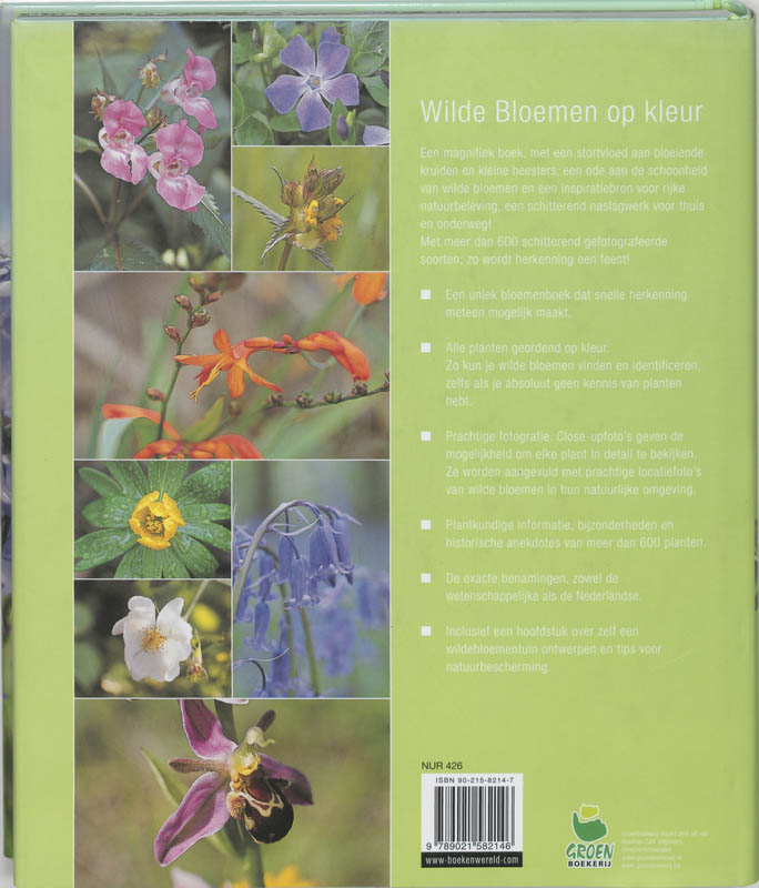 Achterkant van Wilde bloemen op kleur