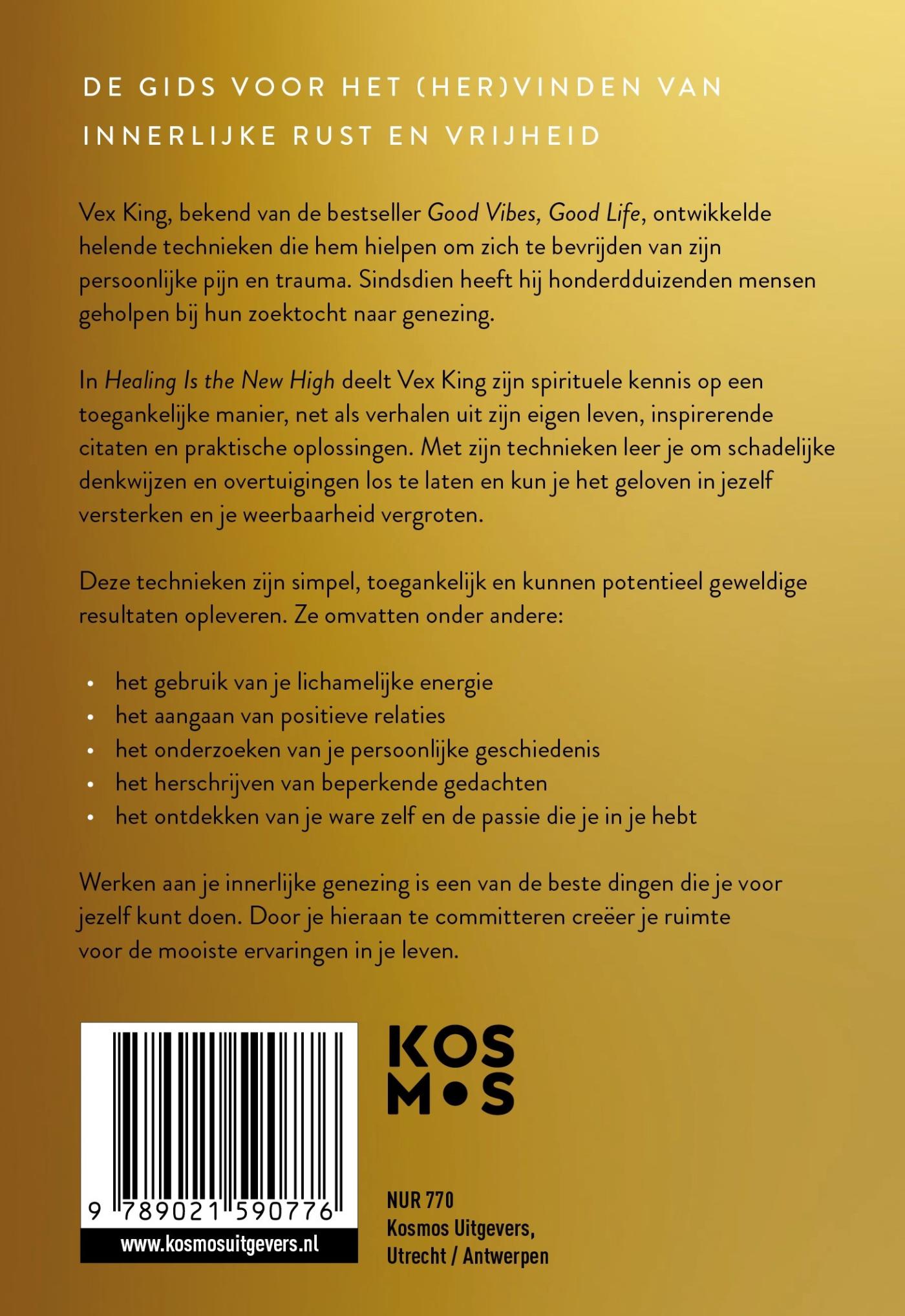 Achterkant van Healing Is the New High - Nederlandse editie