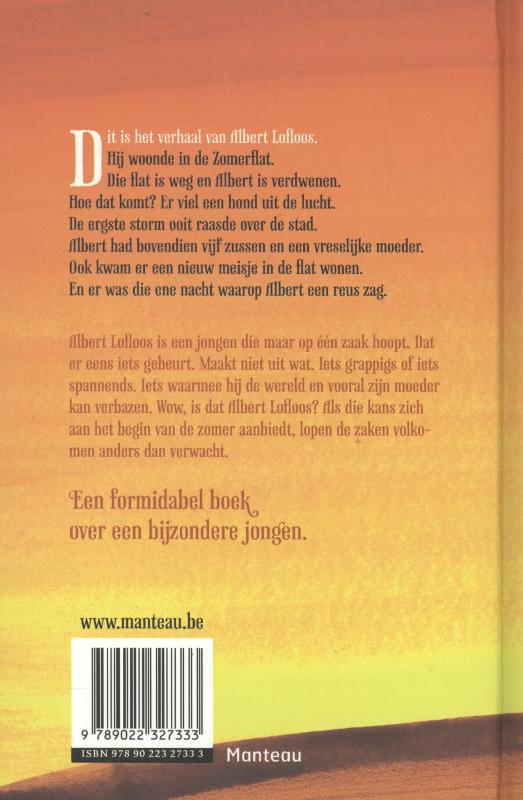 Achterkant van De reus van de Zomerflat