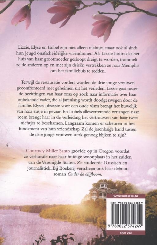 Achterkant van Het familiehuis