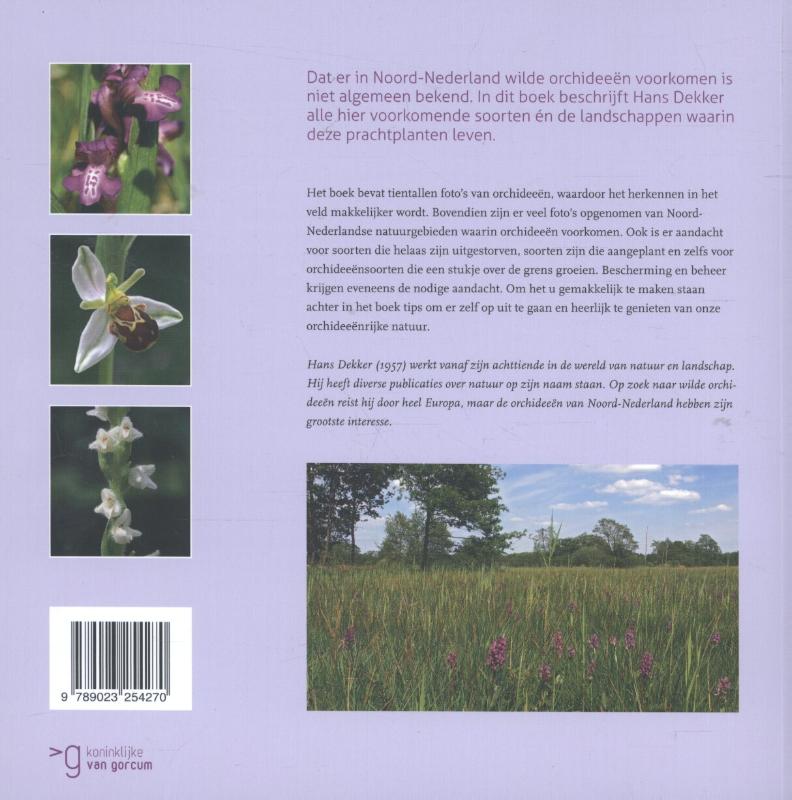 Achterkant van Orchideeën in Noord-Nederland