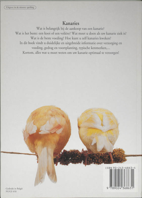 Achterkant van Kanaries