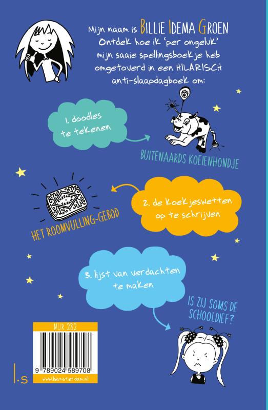 Achterkant van Het toevallige dagboek van B.I.G.
