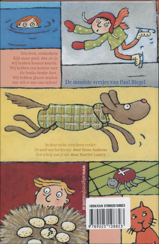 Achterkant van Een been, stokkebeen