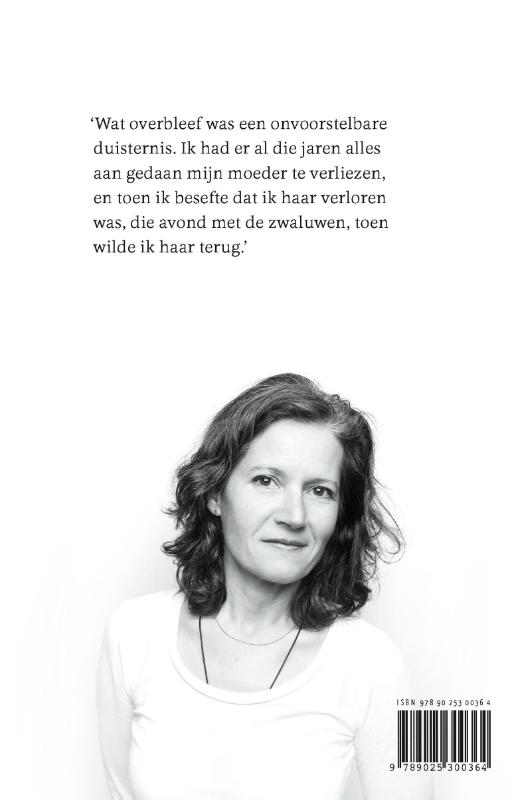 Achterkant van Wolfskwint