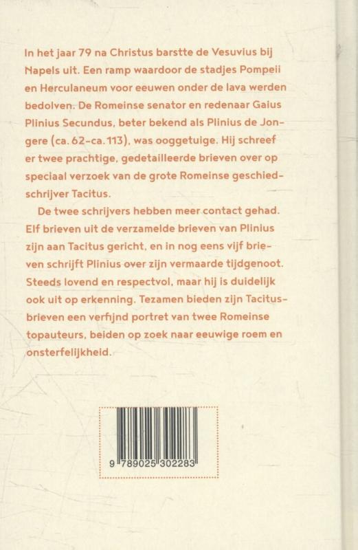 Achterkant van De vesuvius in vlammen