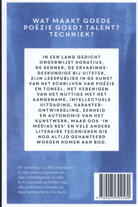 Achterkant van De dichter als vakman