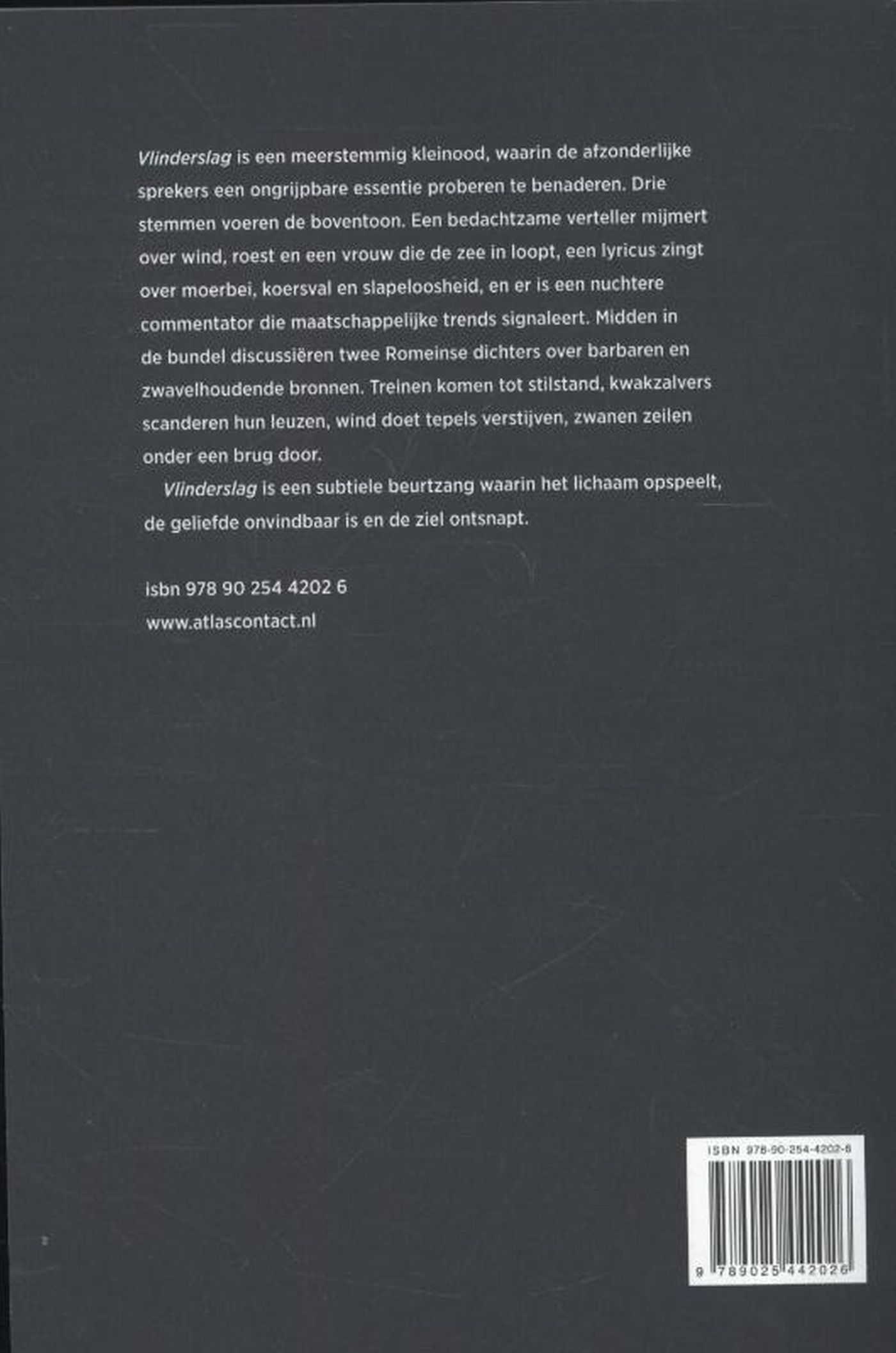 Achterkant van Vlinderslag