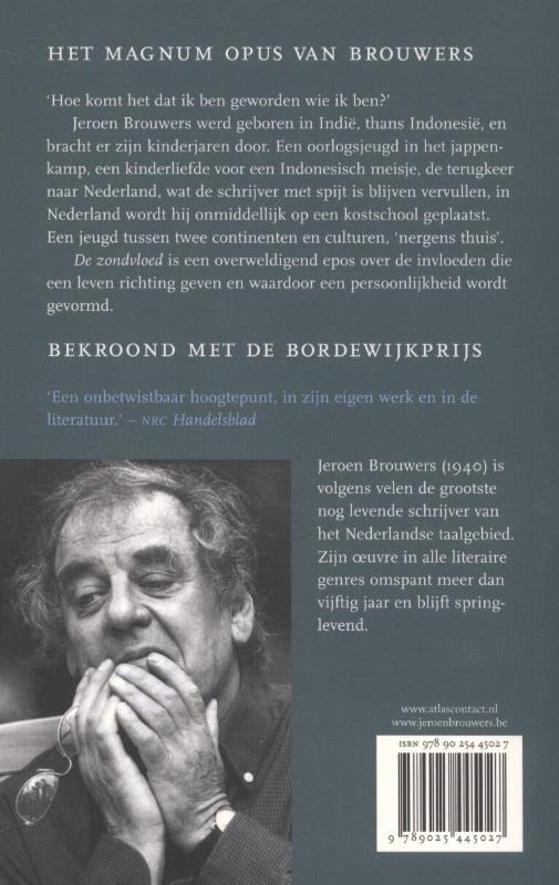 Achterkant van De zondvloed