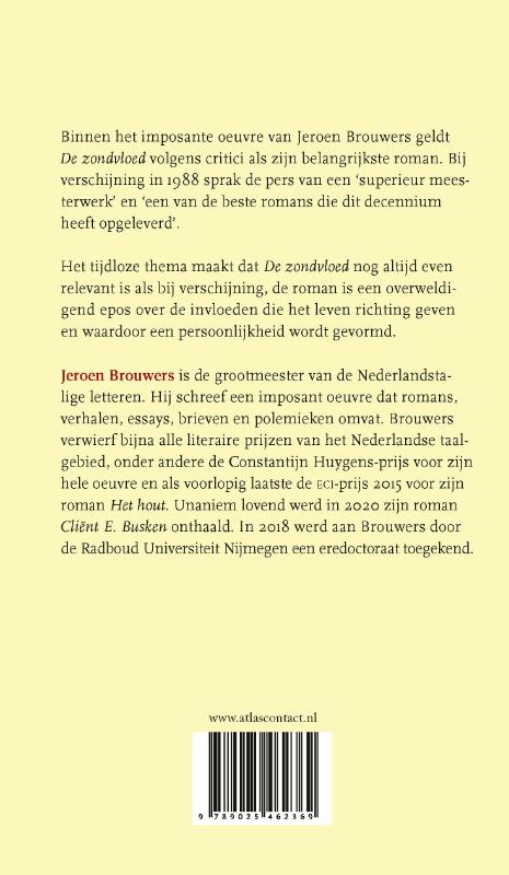Achterkant van De zondvloed
