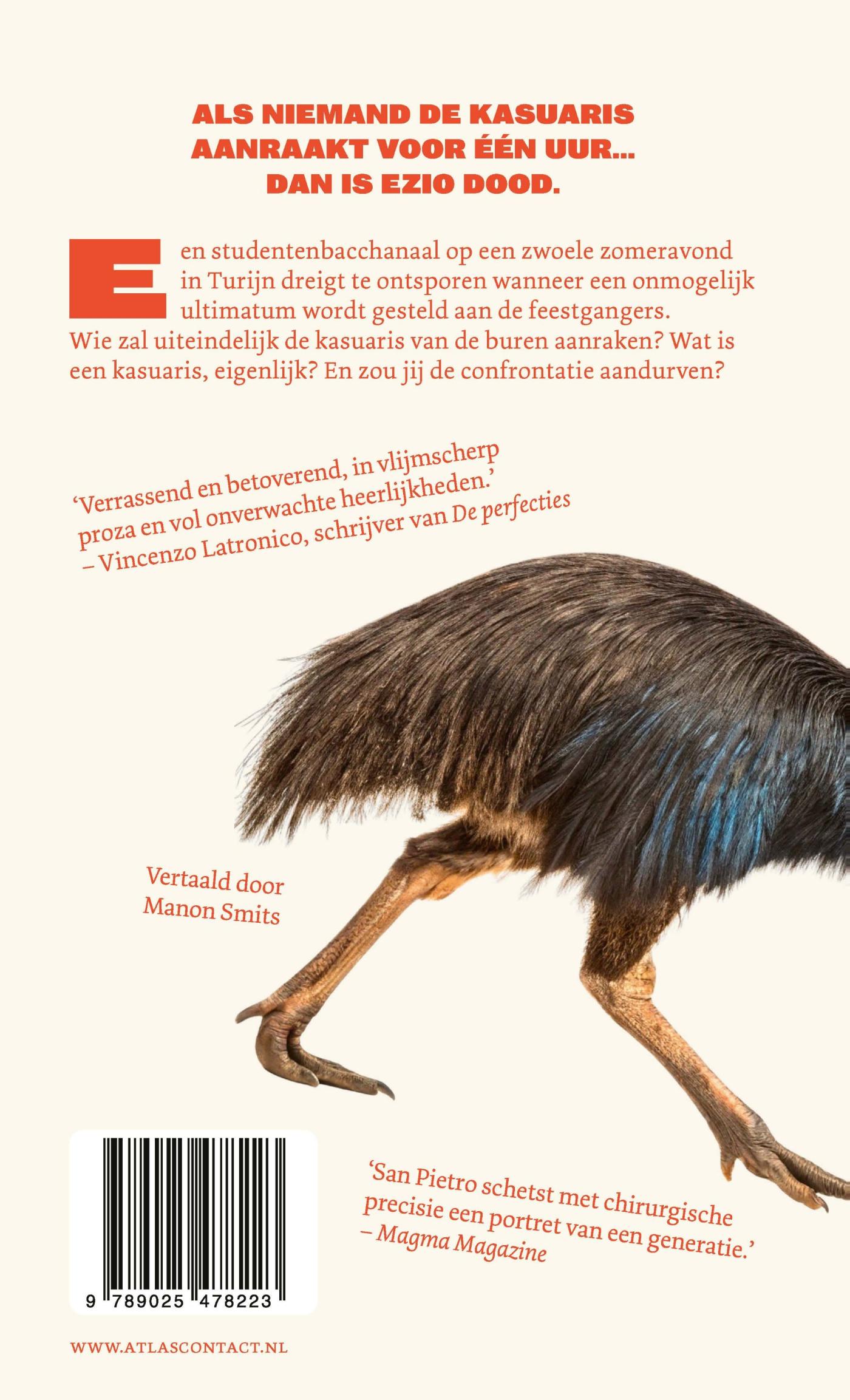 Achterkant van Feest met kasuaris