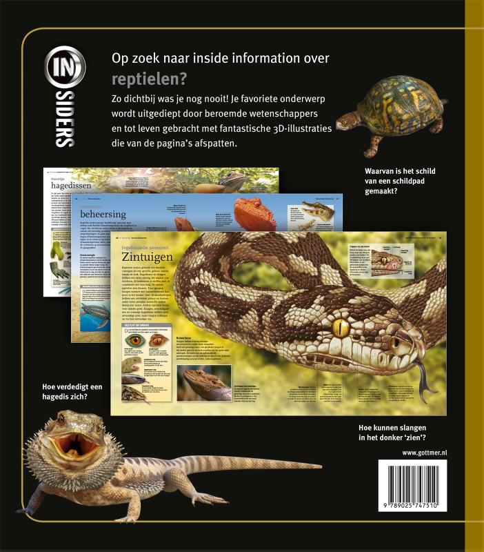 Achterkant van Reptielen
