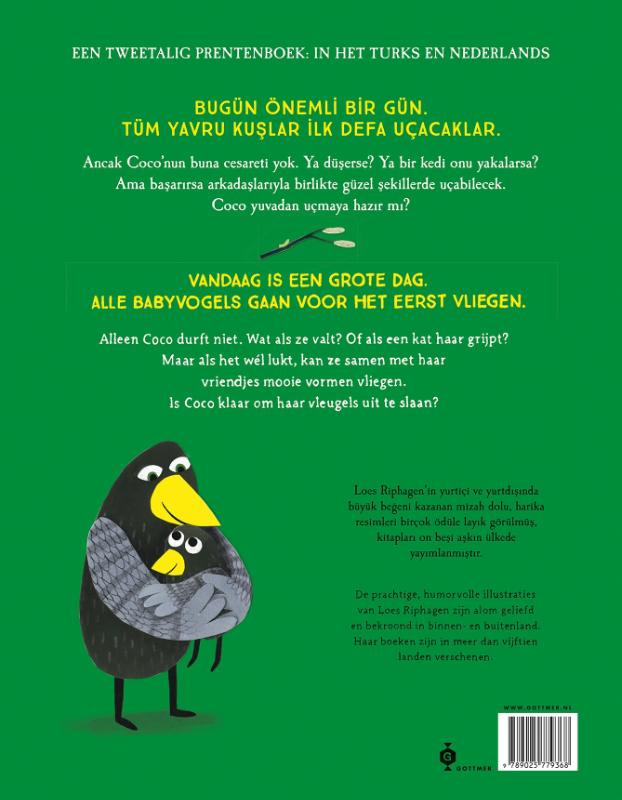 Achterkant van Coco kan het! / Coco bunu yapabilir!