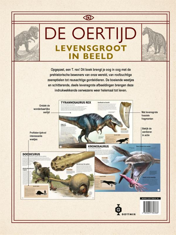 Achterkant van De oertijd levensgroot in beeld