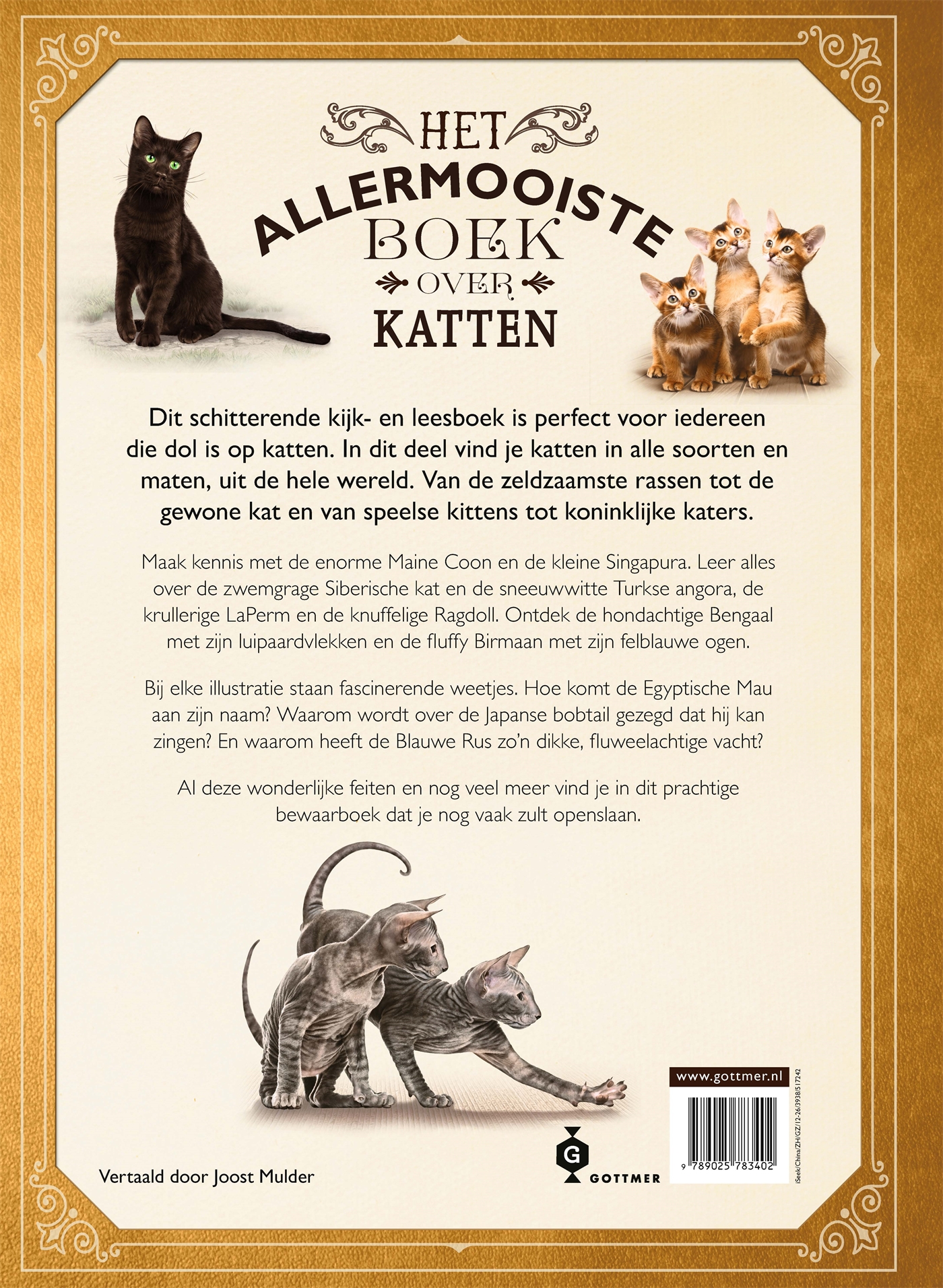 Achterkant van Het allermooiste boek over katten